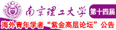 囯产操逼王南京理工大学第十四届海外青年学者紫金论坛诚邀海内外英才！